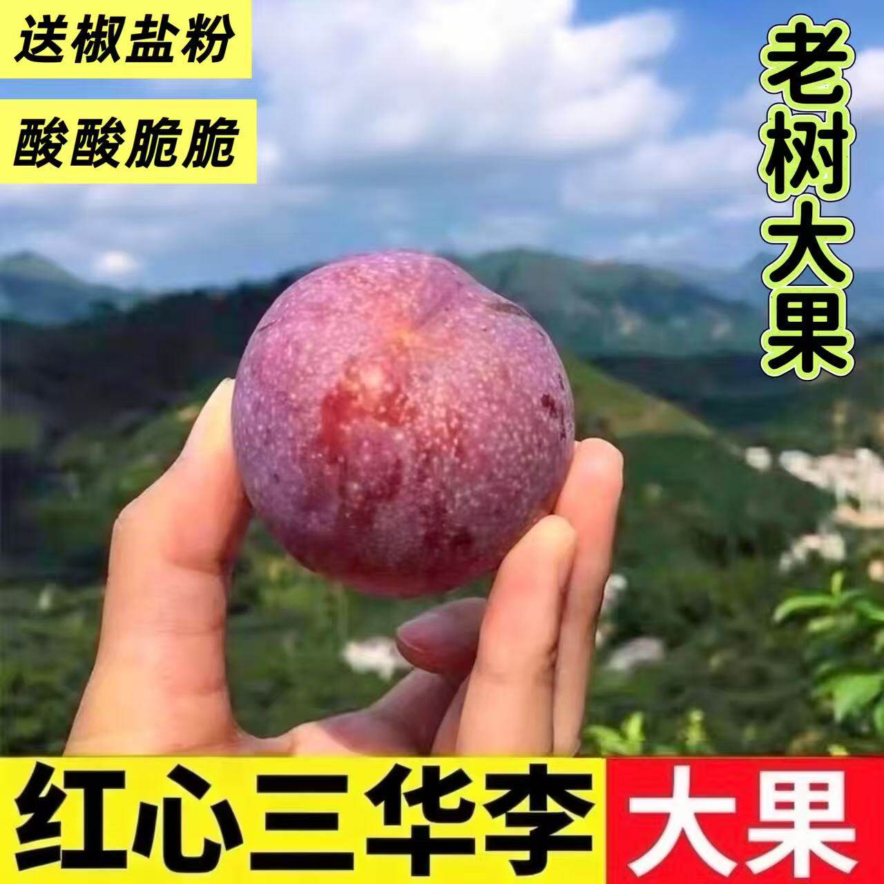现货新鲜现摘现发红心李云南当季脆甜李子孕妇三华李酸李子5整箱