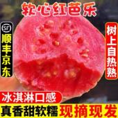 红心软芭乐番石榴奶油芭乐大果软糯香甜低糖西瓜胭脂5斤当季 整箱
