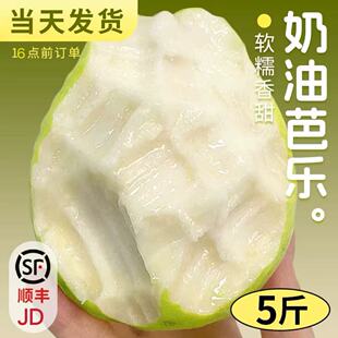 福建白心奶油芭乐5斤【顺丰JD多地次日达】低糖水果软心番石榴