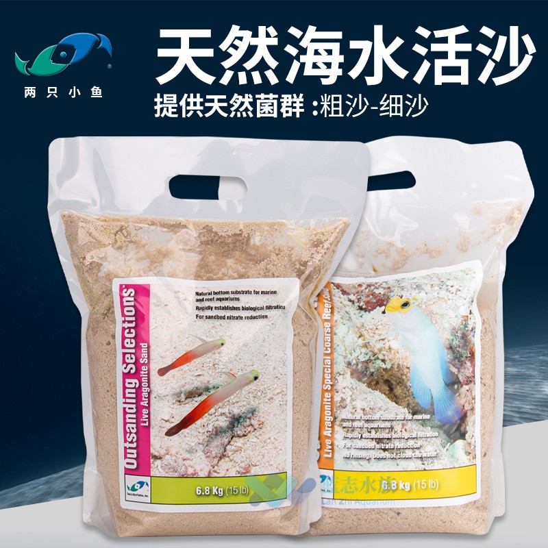 两只小鱼鱼缸天然海水活沙细沙粗砂海水珊瑚缸造景活沙底砂珊瑚沙