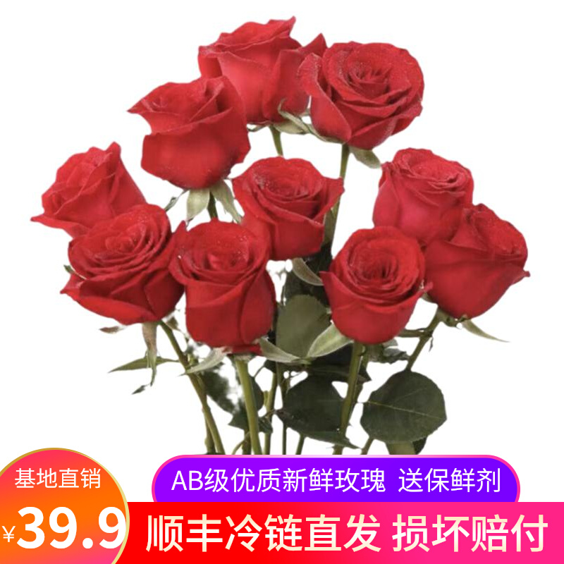 AB级玫瑰花鲜花云南昆明基地直发新鲜卡罗拉弗洛伊德插花生日花束