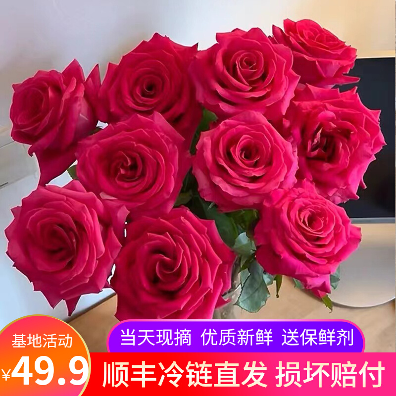 弗洛伊德玫瑰花鲜花云南基地直发斗南直批鲜切花水养插花生日花束