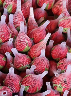 玫瑰花鲜花云南昆明基地直发斗南花卉玫瑰鲜切花水养插花婚庆花束