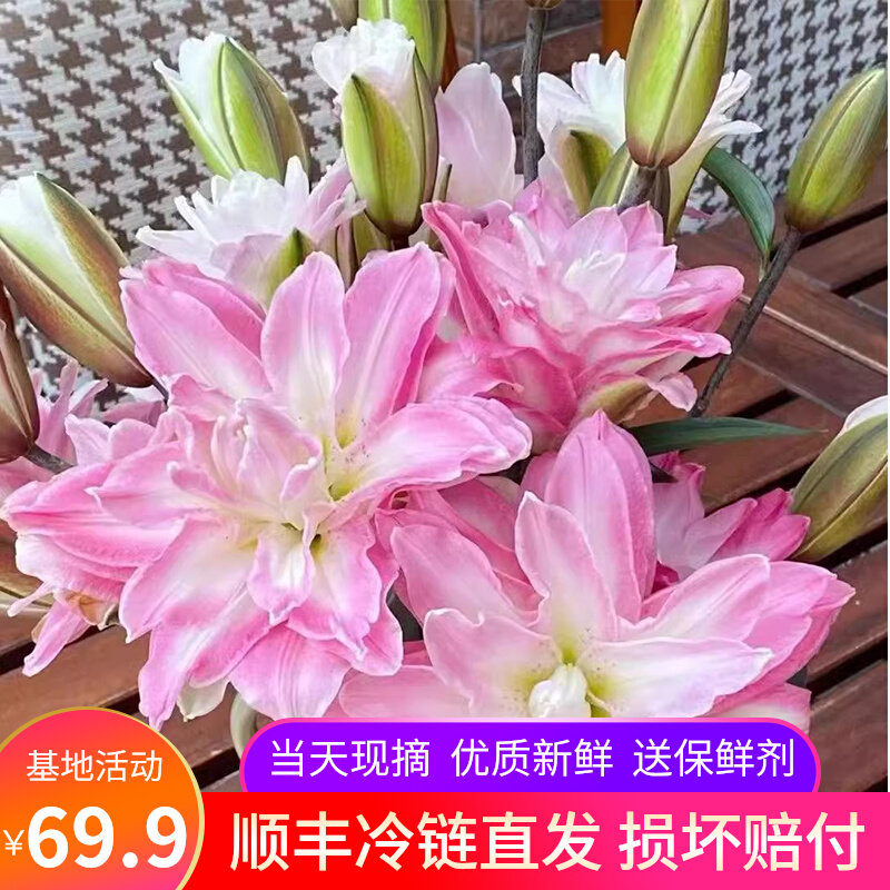 重瓣香水百合鲜花云南昆明斗南基地直发家用室内桌面绿植花卉插花