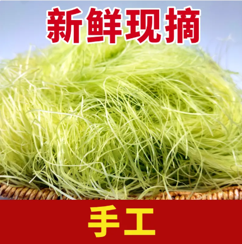 新鲜玉米须茶嫩玉米须