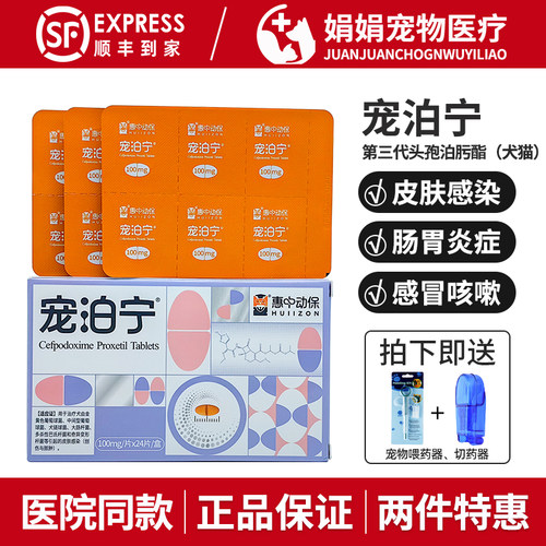 宠泊宁头孢泊肟酯片宠物消炎药猫咪感冒狗皮肤病皮炎泌尿惠中动保