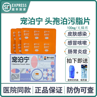 宠泊宁头孢泊肟酯片宠物消炎药猫咪感冒狗皮肤病皮炎泌尿惠中动保