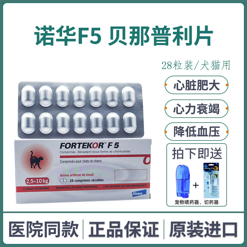 狗心脏素材模板 狗心脏图片下载 小麦优选