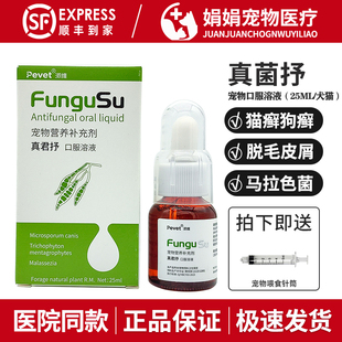 派维真君抒抗真菌口服液宠物真菌感染猫癣犬猫皮肤狗狗脱毛皮屑