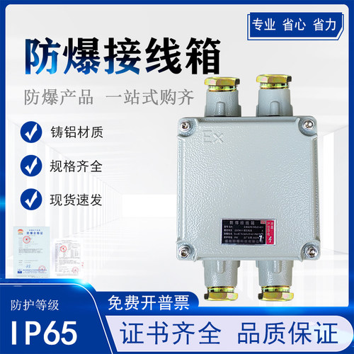 防爆接线箱分线盒配电箱