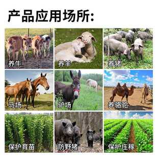 电子围栏脉冲主机系统全套养牛羊猪畜牧养殖智能高压防野猪电围栏