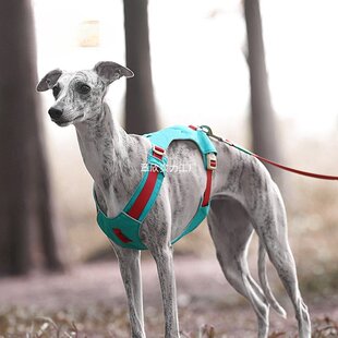 ZOOLAND狗狗胸背牵引绳遛幼小中大型犬泰迪柯基比熊边牧博美链子