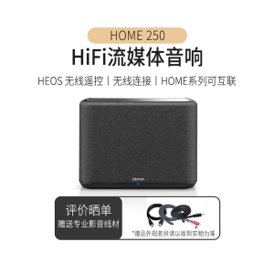 天龙Home250无线蓝牙音箱HiFi音响支持wifi多房间无线应用无损