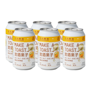 大九酿造 劝酒果子海盐古斯啤酒 330mL 六罐 国产精酿啤酒