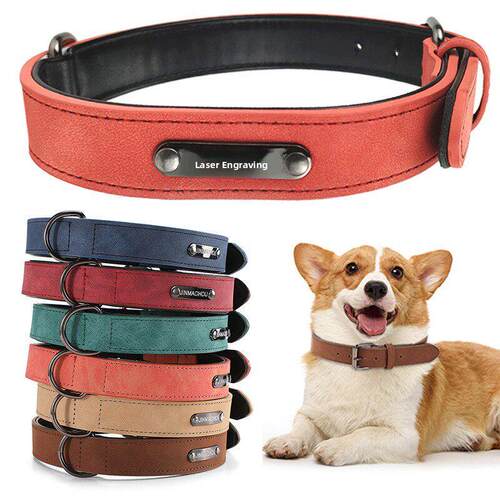 pet dog tag collar puppy cat id collars medium 宠物项圈狗圈