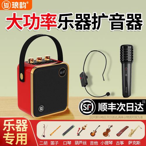 琅韵D91乐器音箱拾音器古筝古琴二胡专用无线扩音器专业蓝牙音响