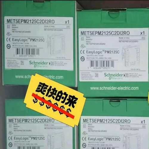 议价PM2125C METSEPM2125C2DI2RO(秦泵商行）