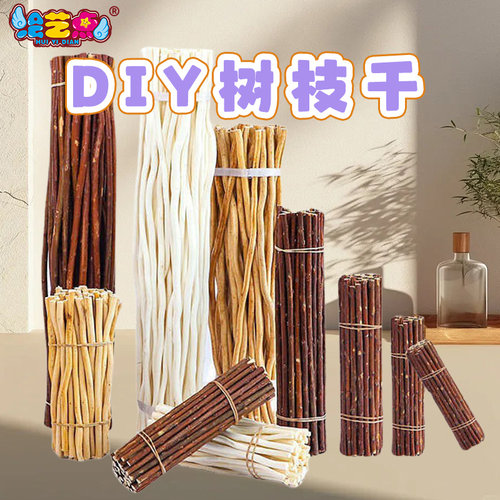 木棍树枝树干装饰diy手工材料幼儿园环创摆件细小自然松果木头条