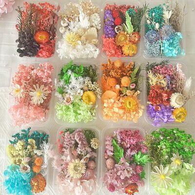 永生花材料包干花相框团扇画贺卡干花手工天然真花盒滴胶diy沙龙