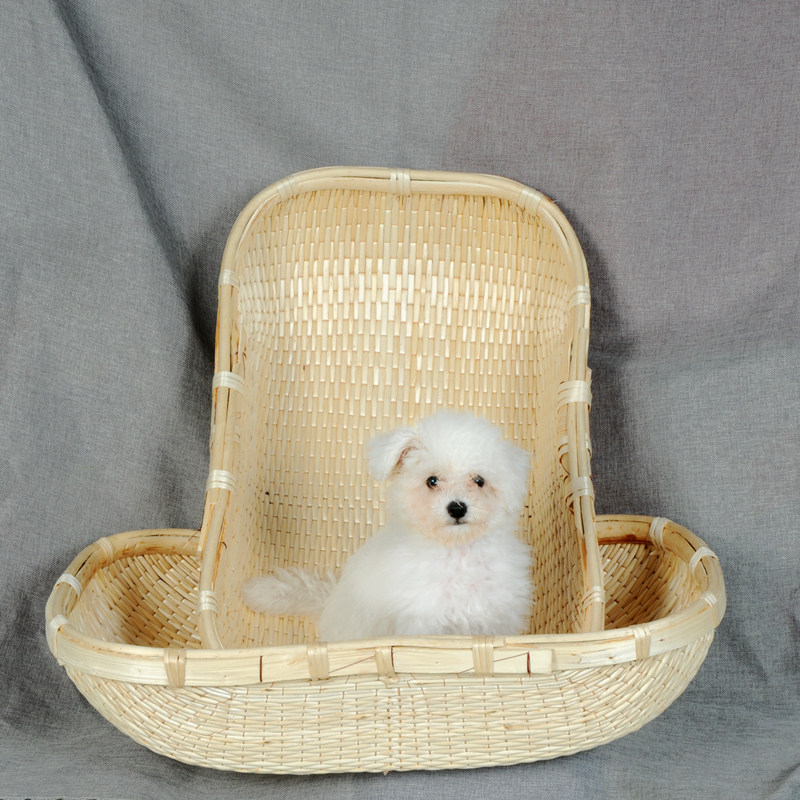 包邮长方形柳编竹编藤编r收纳现捞箩筐馒头馍瓜子饼板栗筐笸箩簸,特色手工艺,竹编/竹雕,淘宝优惠券,粉丝福利购,淘宝优惠卷