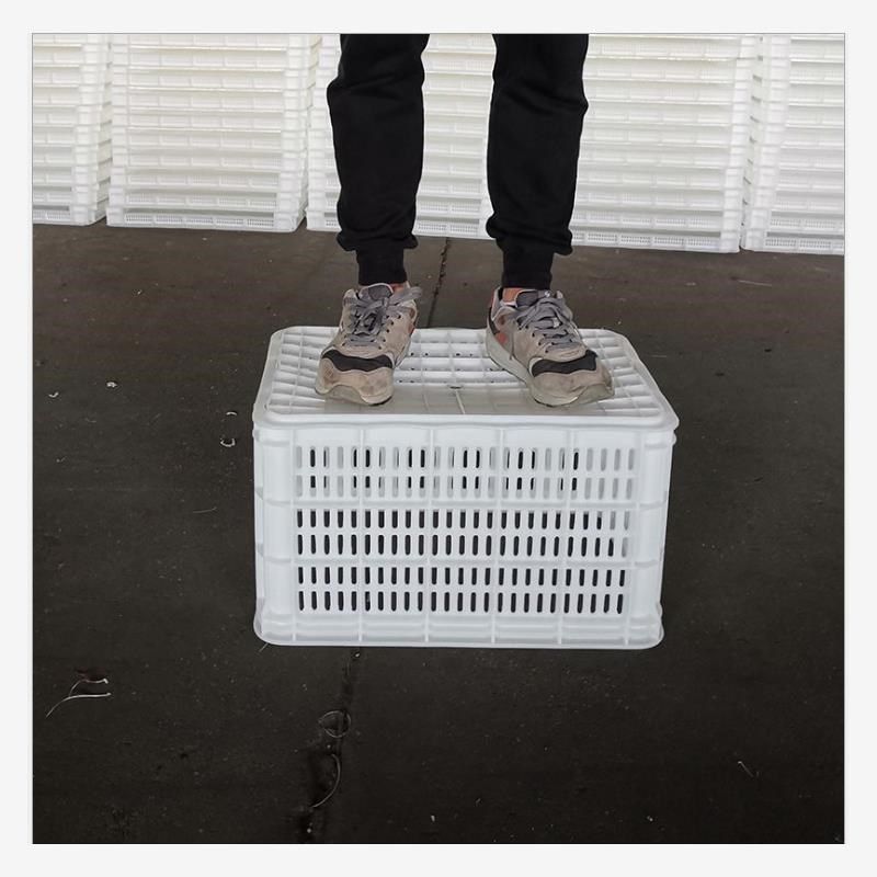 包邮水果筐塑料框周转筐长方形加厚蔬菜水果M箱运输鸡蛋筐收纳筐,农机/农具/农膜,果蔬采收筐/周转筐,淘宝优惠券,粉丝福利购,淘宝优惠卷