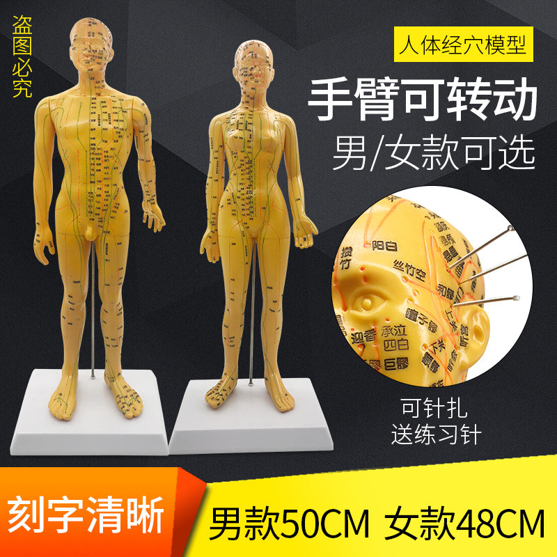 中医经络针炙穴位模型 找穴笔按摩理疗 经络穴位教学练习模具铜人