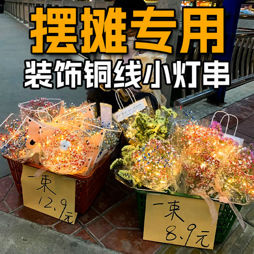 led铜线灯彩灯闪灯串灯满天星