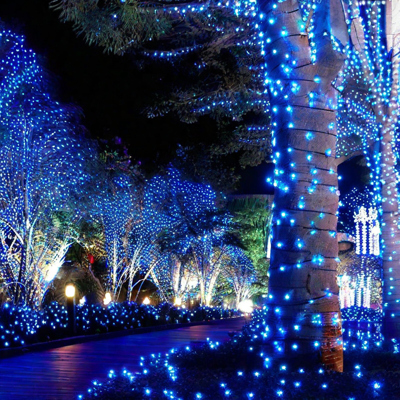 树上彩灯闪灯串灯满天星led