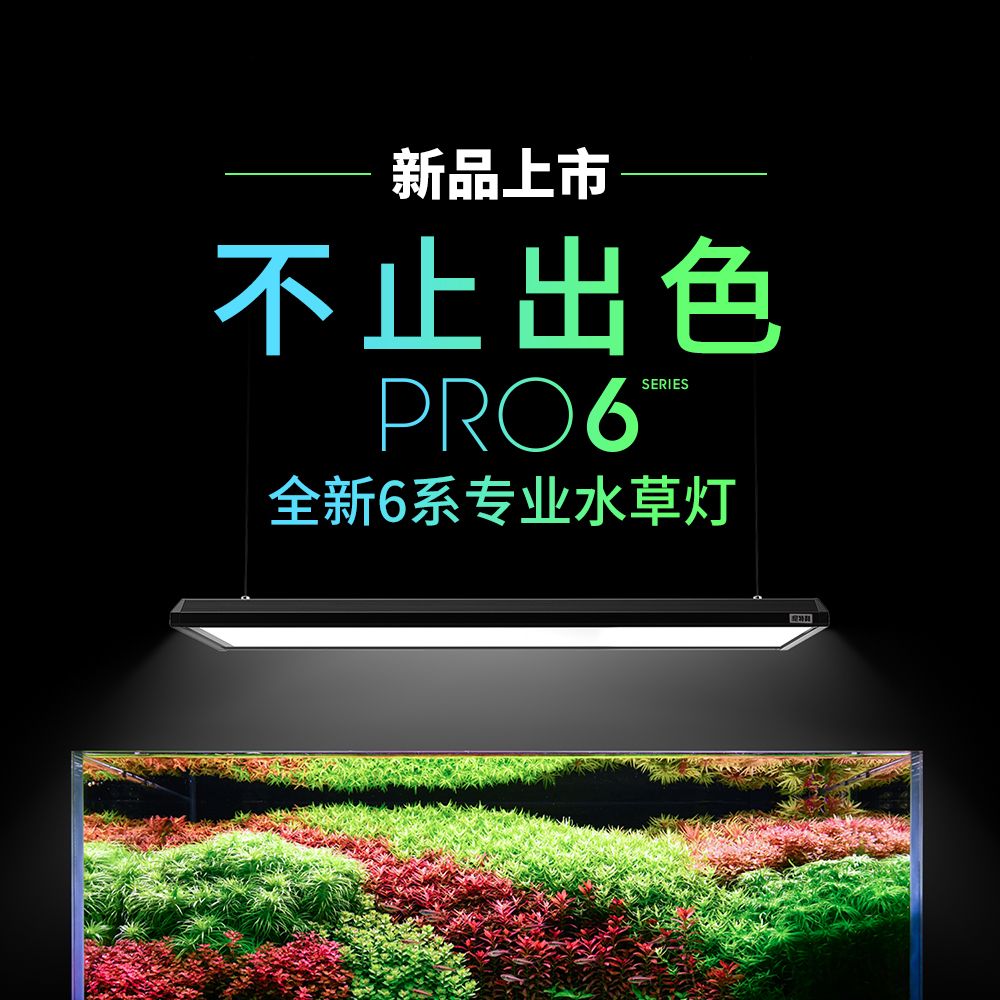 led全光谱尼特利全新6系列大灯盘