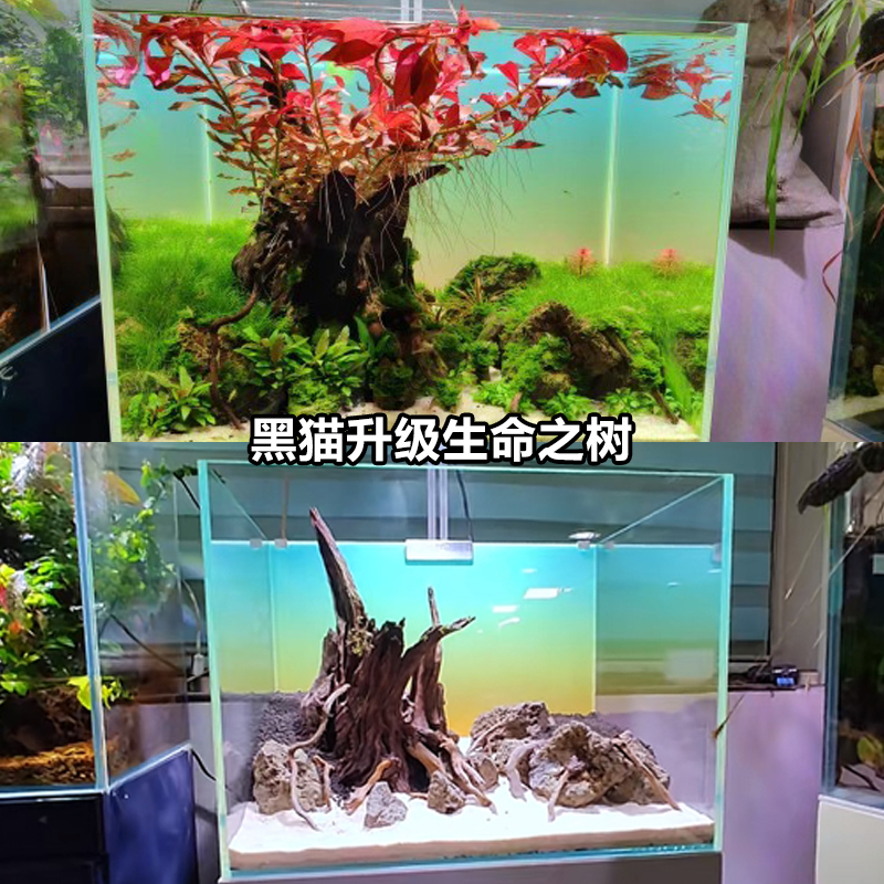 升级版生命之树沉木老桩老树造景第二版鱼缸水族杜鹃根客厅生态景