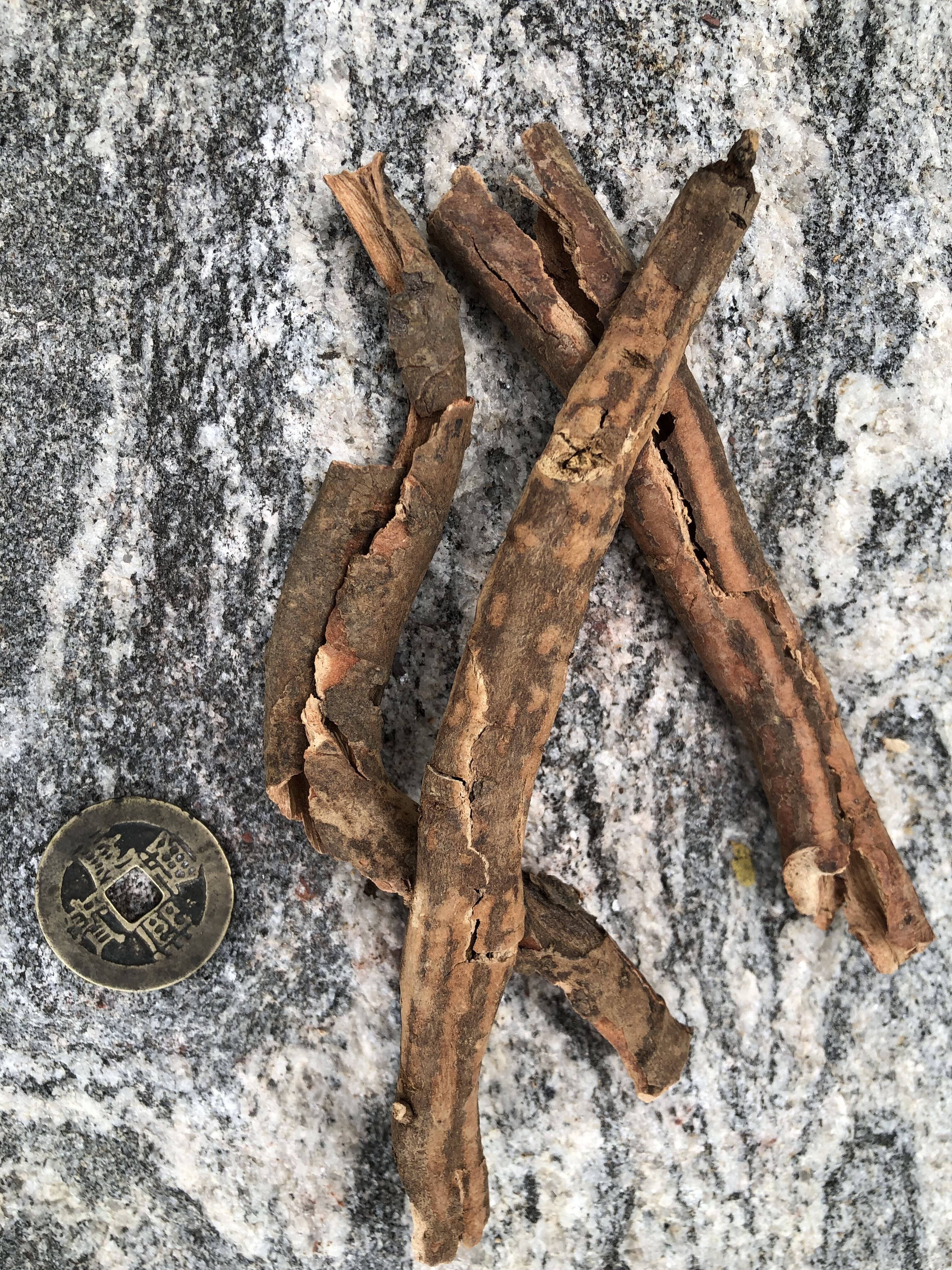牡丹皮湖北三峡上古灵山巫山原丹皮粉丹皮抽芯率高自然生长十五年