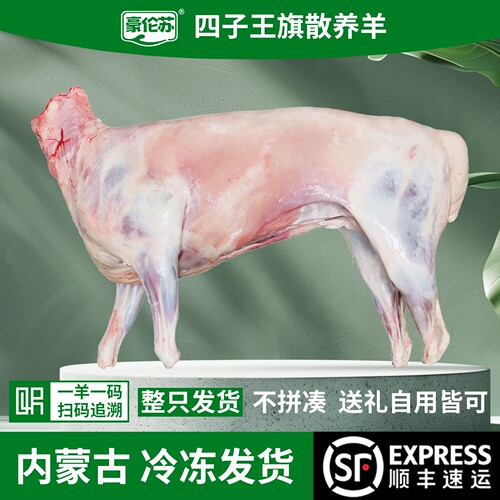 豪伦苏内蒙古四子王旗整羊30斤