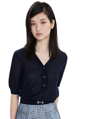 ELLASSAY歌力思夏季新款100%桑蚕丝V领针织衫女EWE332M07600