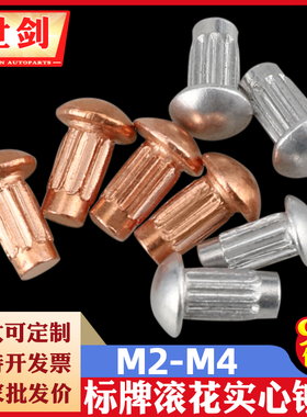 GB827实心铆钉2M2.5M3M4标牌铆钉不锈钢滚花铝帽钉铜铭牌商标铆接