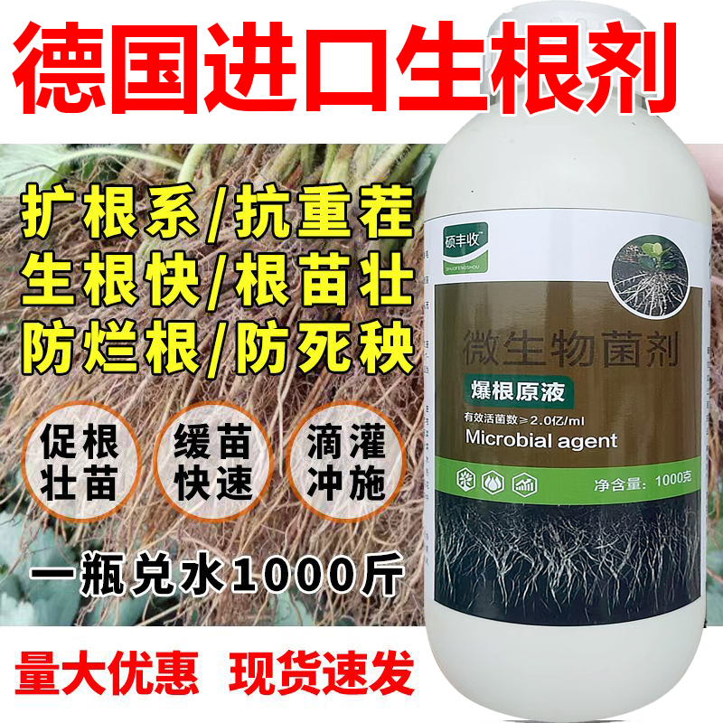 生根剂生根壮苗水溶肥