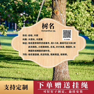 定制小树牌树木树苗种植认领牌小学幼儿园活动手写标签牌我和小树一起成长手绘标签标识牌吊牌定做