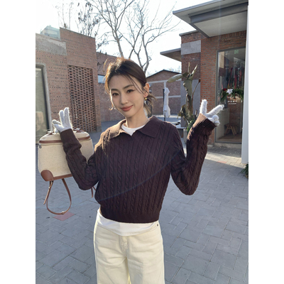 复古麻花polo针织衫外穿毛衣短款