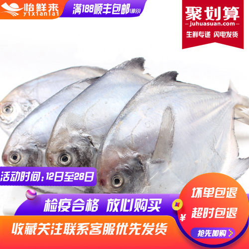 活鲜平鱼条价格 活鲜平鱼条图片 星期三