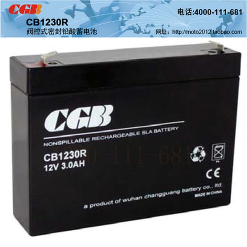 武汉长光蓄电池CB1230R/UPS电源12V3AH精密仪器通讯电源
