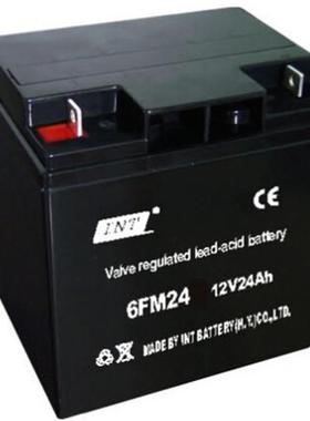 进口 INT 铅酸免维护蓄电池12V24AH 现货供应 6FM24电瓶