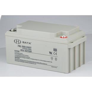 200 12V100AH 150 BB12100T BATA鸿贝蓄电池FM