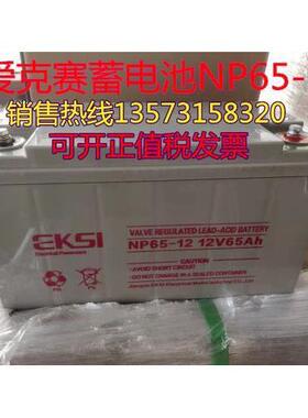 鑫晟EKSI爱克赛蓄电池NP100-12厂家直销12V100AH 机房 默认项 UPS