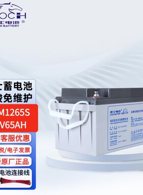 12V65AH铅酸免维护DJM1265S机房UPS电源太阳能专用