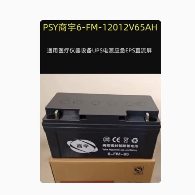 PSY商宇6-FM5阀控密封铅