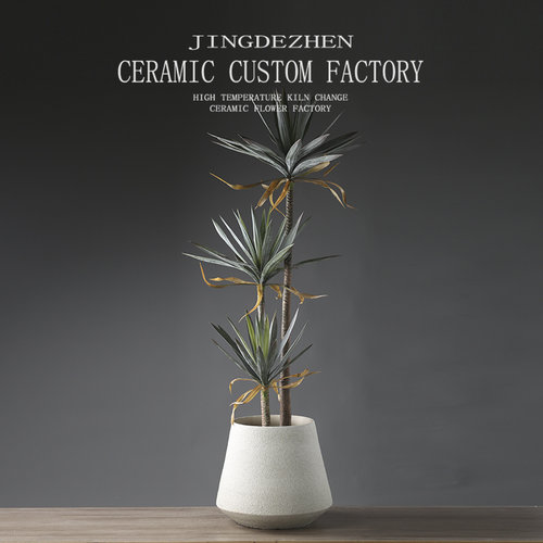 户外植物庭院绿植