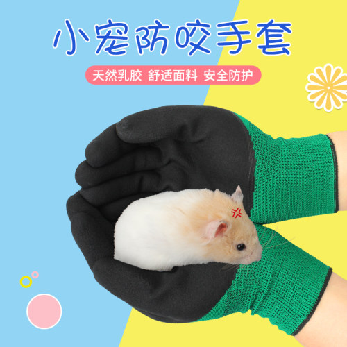 加厚防咬防滑耐磨喂宠物