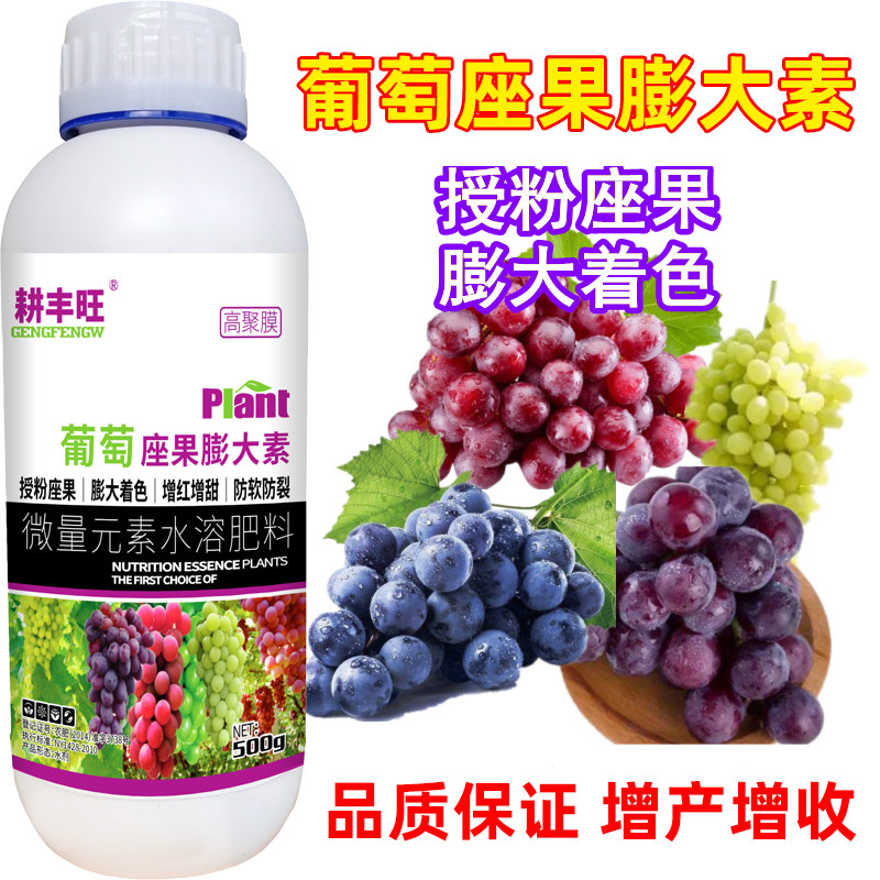 噻苯隆益果灵葡萄膨大剂膨大素夏黑巨峰防落果大小粒裂果果柄硬