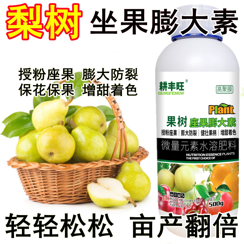 梨树膨大坐果药强效授粉膨大防裂防落素梨树增甜剂梨树授粉座果精