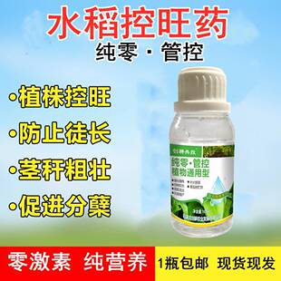 水稻专用叶面肥 非复合肥生根壮苗剂抗倒伏分蕖灌浆肥 水稻控旺药