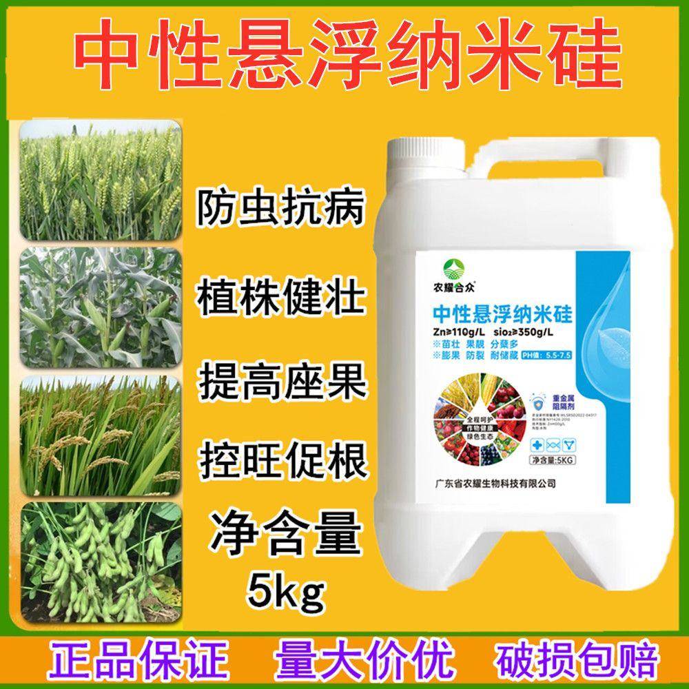 纳米硅肥瓜果蔬菜增产剂小麦水稻专用液体硅肥抗倒伏纳米硅叶面肥